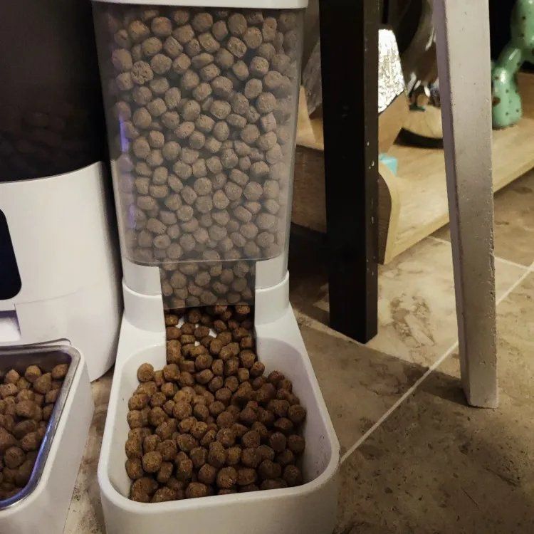 Haarentfernungshandschuh Für Haustiere - 2 Stück Mit Statischer Technologie