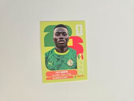 Panini WM 26 - SEN11