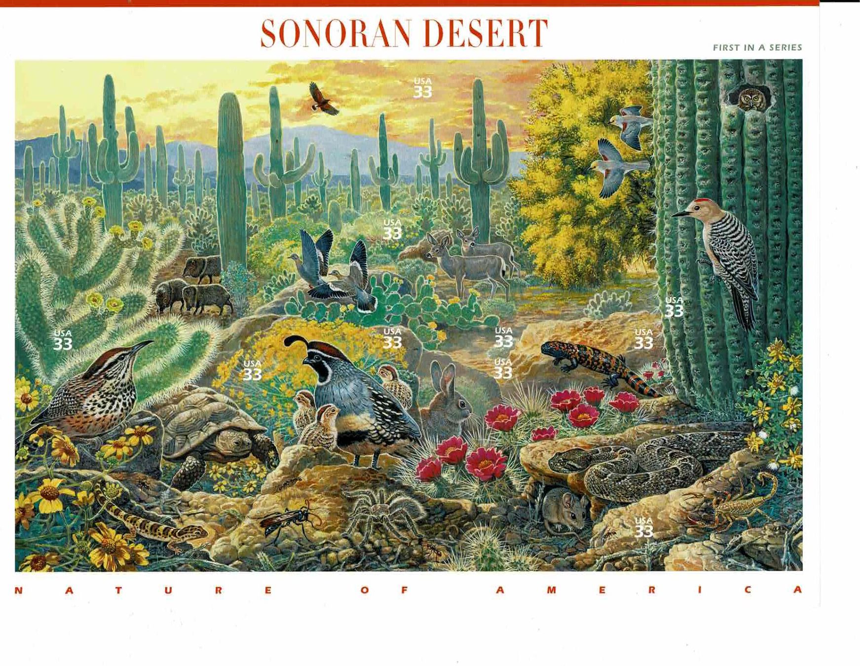 Tutti i francobolli: USA Sonoran Desert 1 KB – Nuovo (secondo la descrizione) da Lausanne venduto da Whorvath
