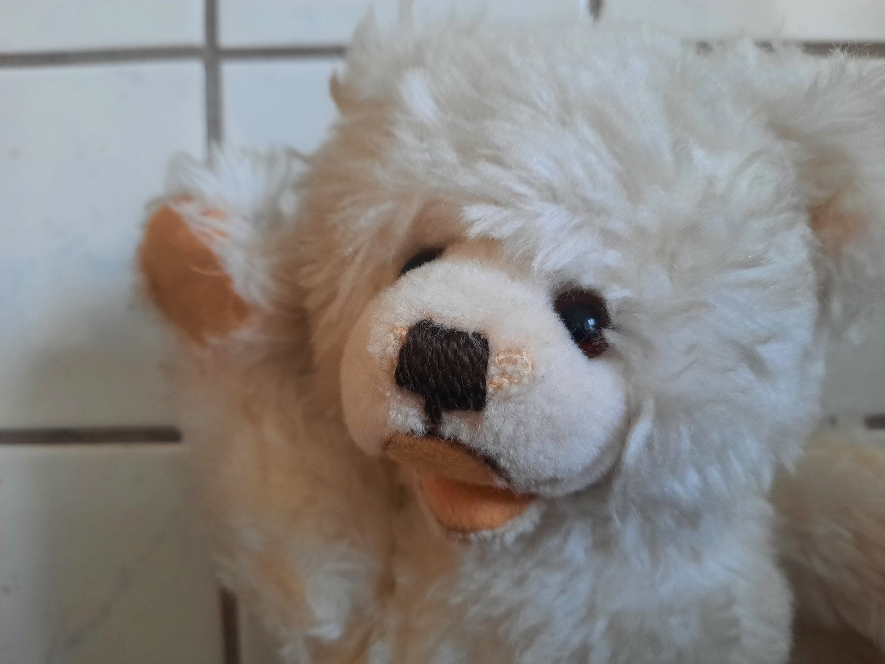 Steiff Giocattoli: STEIFF, OURS blanc – Usato da Le Locle venduto da marylise01 1