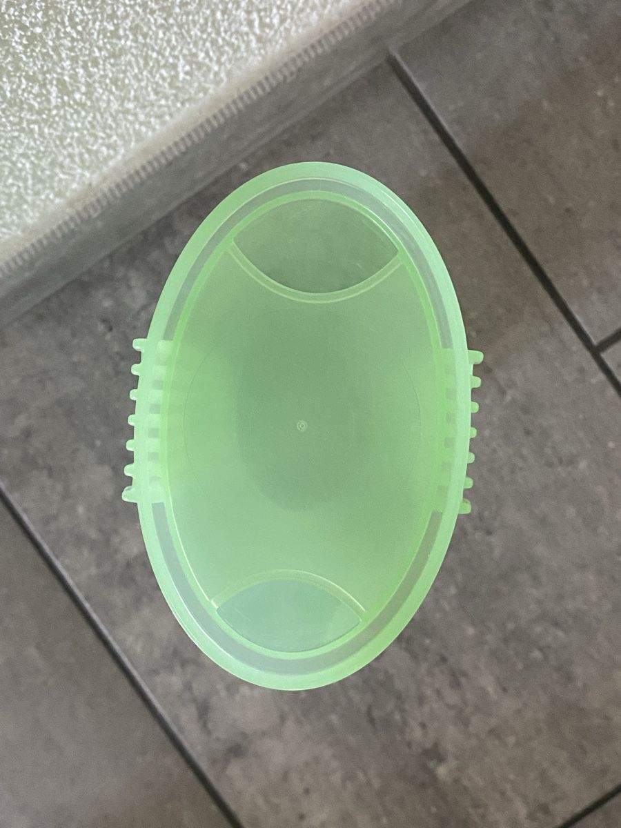 Tupperware Contenitori & Simili: Tupperware Spaghettibehälter grün neuwertig – Nuovo (secondo la descrizione) da Eich venduto da ka_st 2