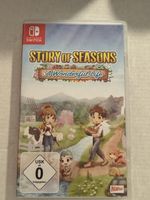 Spiel Story of Seasons A Wonderful Life Nintendo Switch
