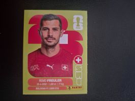 Panini WM 26 SUI 11