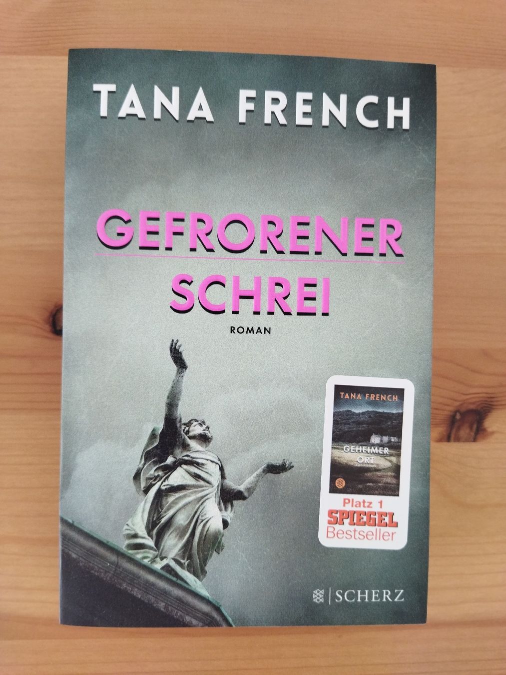 Libri: Gefrorener Schrei – Nuovo (secondo la descrizione) da Amden venduto da Arven-Schmuck