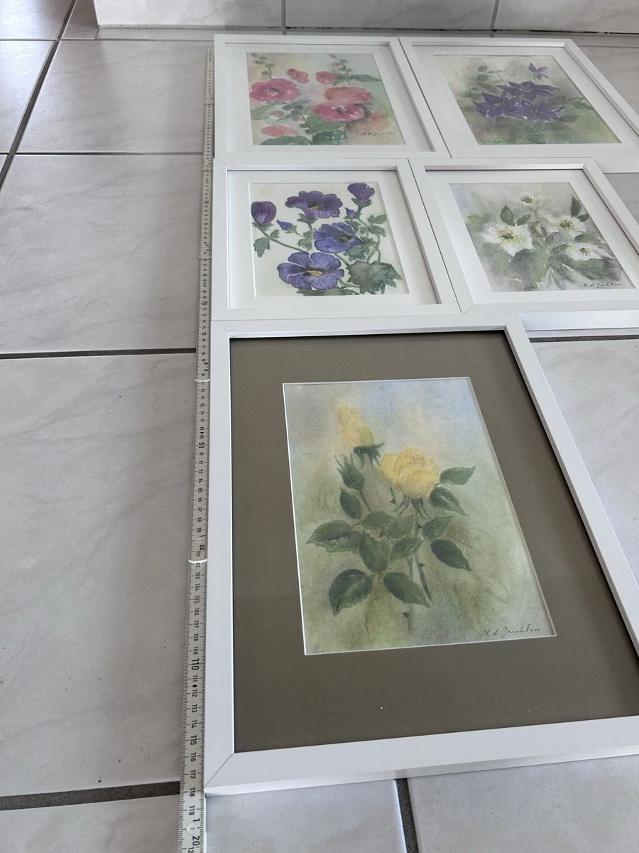 Dipinti: 5 Aquarellbilder / Malerei Blumen – Usato da Solothurn venduto da dbmd333 6