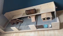 Meerschweinchen Vivarium, Meerschweinchenkäfig