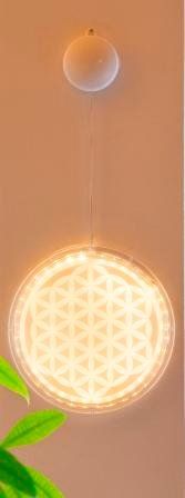 Lampade: LED-Ambientelicht - Blume des Lebens – Nuovo e nell'imballaggio originale da Mauren venduto da Yeelen