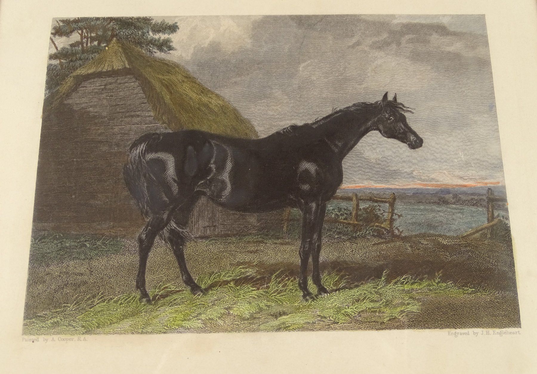 Stiche: RENNPFERD AUF WEIDE, STAHLSTICH UM 1850 – Gebraucht aus Grüningen von Kartensammler 2