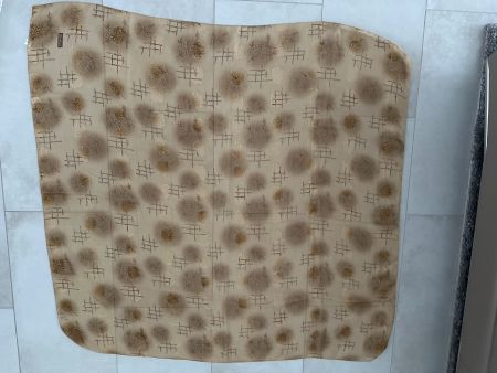 Damen Schal / Tuch beige