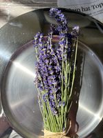 Lavendel neue Ernte sehr intensiver Geruch frisch