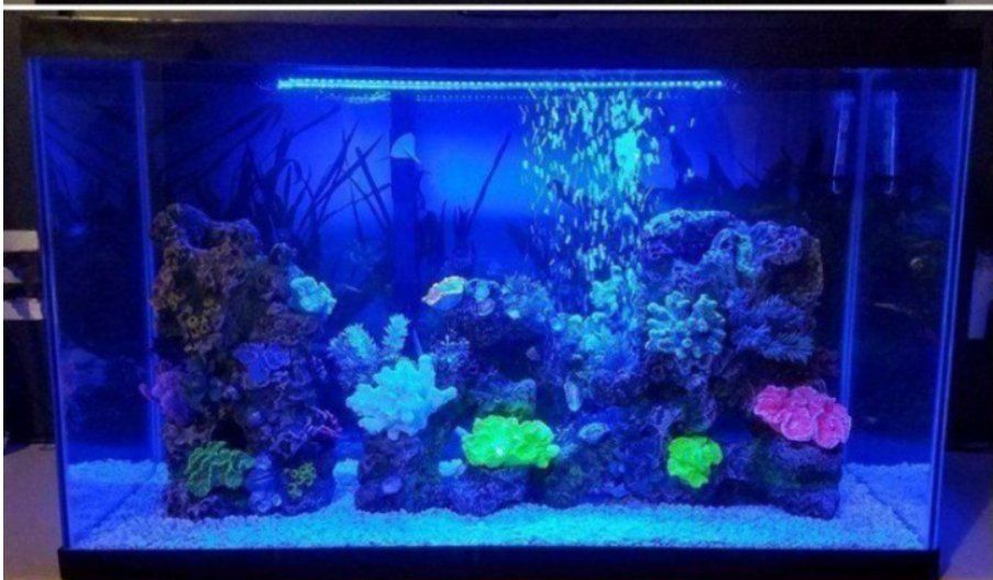 Lampade: LED Aquarium Beleuchtung – Nuovo e nell'imballaggio originale da Amriswil venduto da Ravinvida