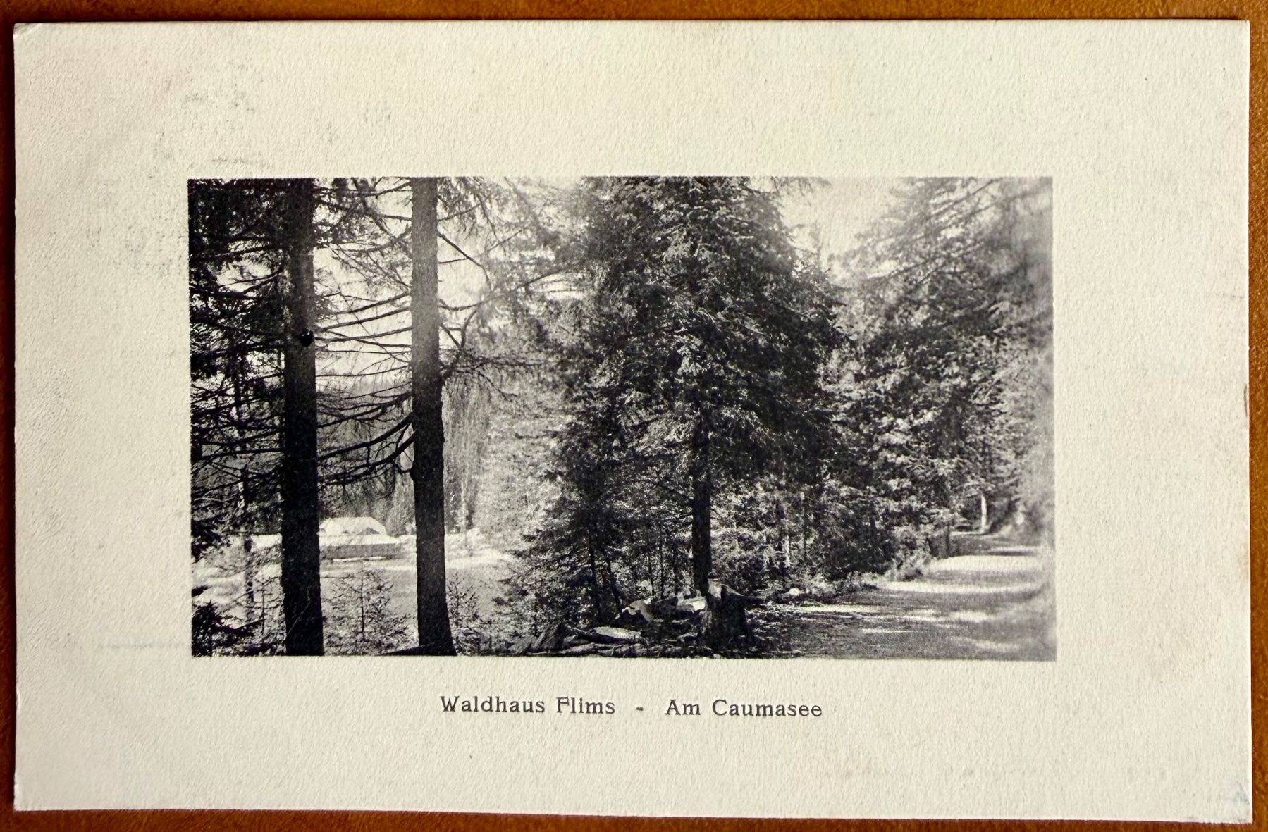 Cartoline postali: Flims - Waldhaus am Caumasee 1911 – Usato da Lutry venduto da Ediego