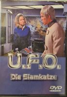 U.F.O. - Die Siamkatze