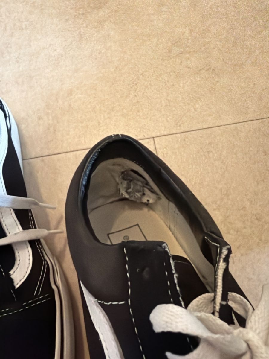 Vans Herrenschuhe: Vans Old Skool Sneaker Grösse 40.5 – Gebraucht aus Bern von arina.b 3