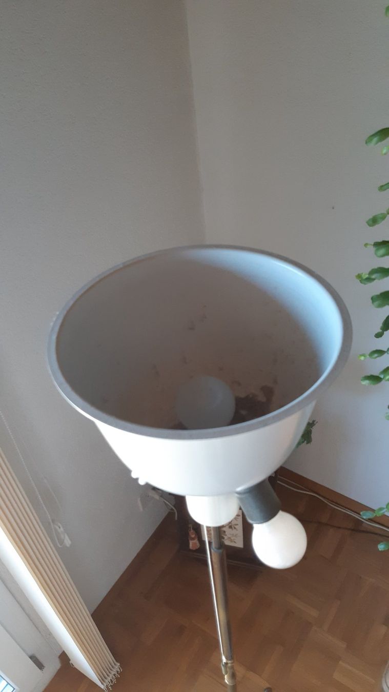 Lampen: Stehlampe mit Messing-Fuss – Gebraucht aus Eschlikon TG von Niko43 2
