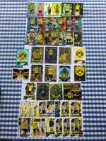 Match Attax Fussballkarten Sammlung BVB 52 Stk.