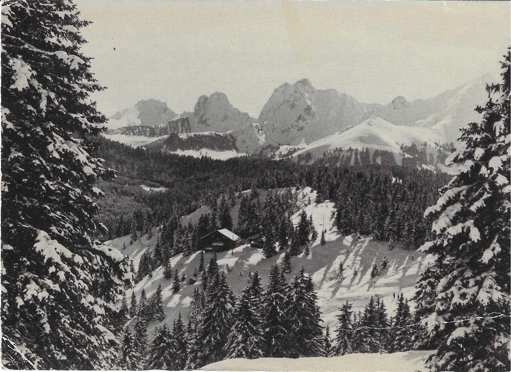Cartoline postali: Skihaus Ski Klub Christiania – Nuovo (secondo la descrizione) da Rothrist venduto da Stranglehold