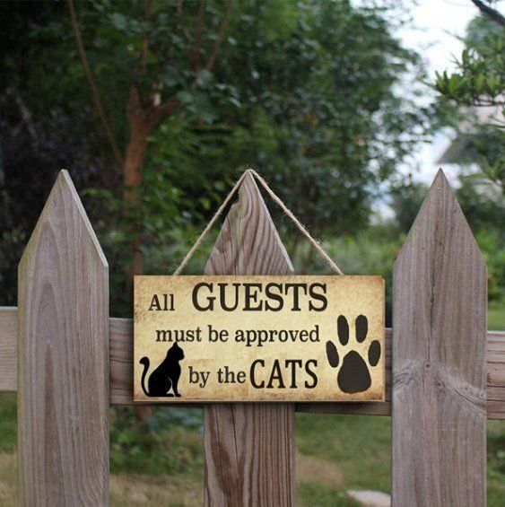 Insegne: Katzen Willkommen Schild aus Holz – Nuovo e nell'imballaggio originale da Dintikon venduto da Vexi 1