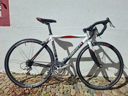 Wilier Rennvelo