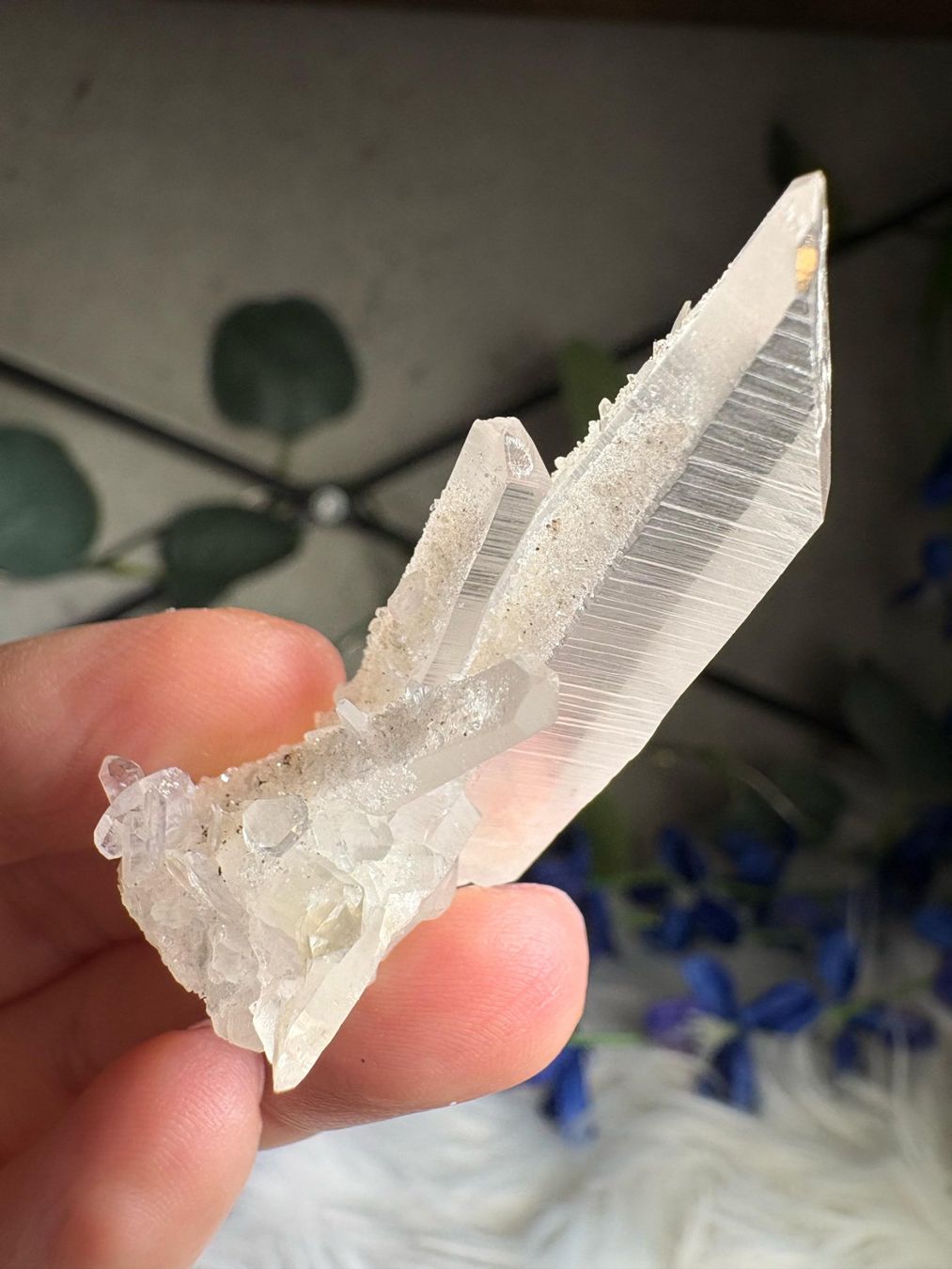 Minerali & Pietre curative: Kolumbianischer Lemurian-Quarz-Cluster – Nuovo (secondo la descrizione) da Neuheim venduto da m.hald 2