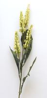 Blumenrispe