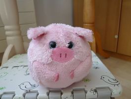 Ty Beanie Boo Plüschtier Ballz Beans   das Schwein  The Pig