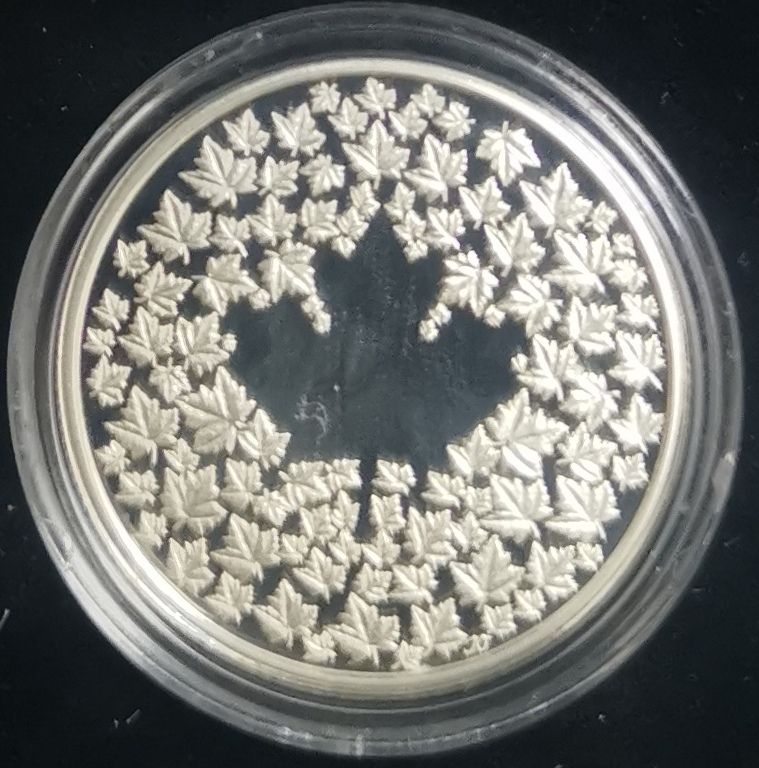 Tutti le monete: Maple Leaf 2013 Silber 3$ in Original-Box mit Zertifikat  – Nuovo e nell'imballaggio originale da Küssnacht am Rigi venduto da Gold_und_mehr