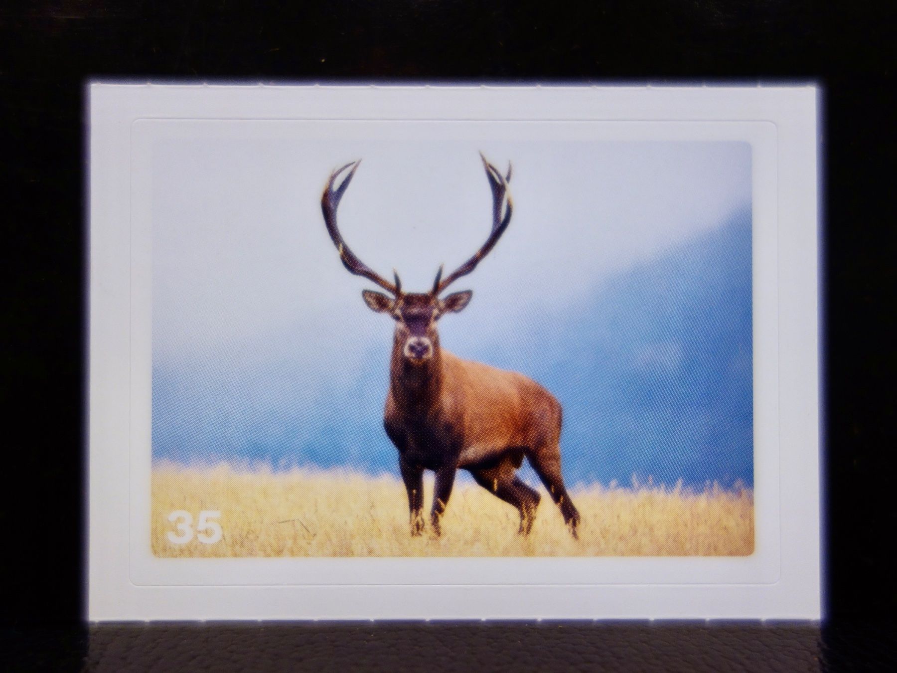Migros Sammelbilder & Trading cards: MIGROS MANIA Nature Detectives Nr. 35 – Neu und originalverpackt aus Kerzers von djstarsky73