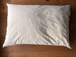 Daunenkissen 65x100 cm 1200g