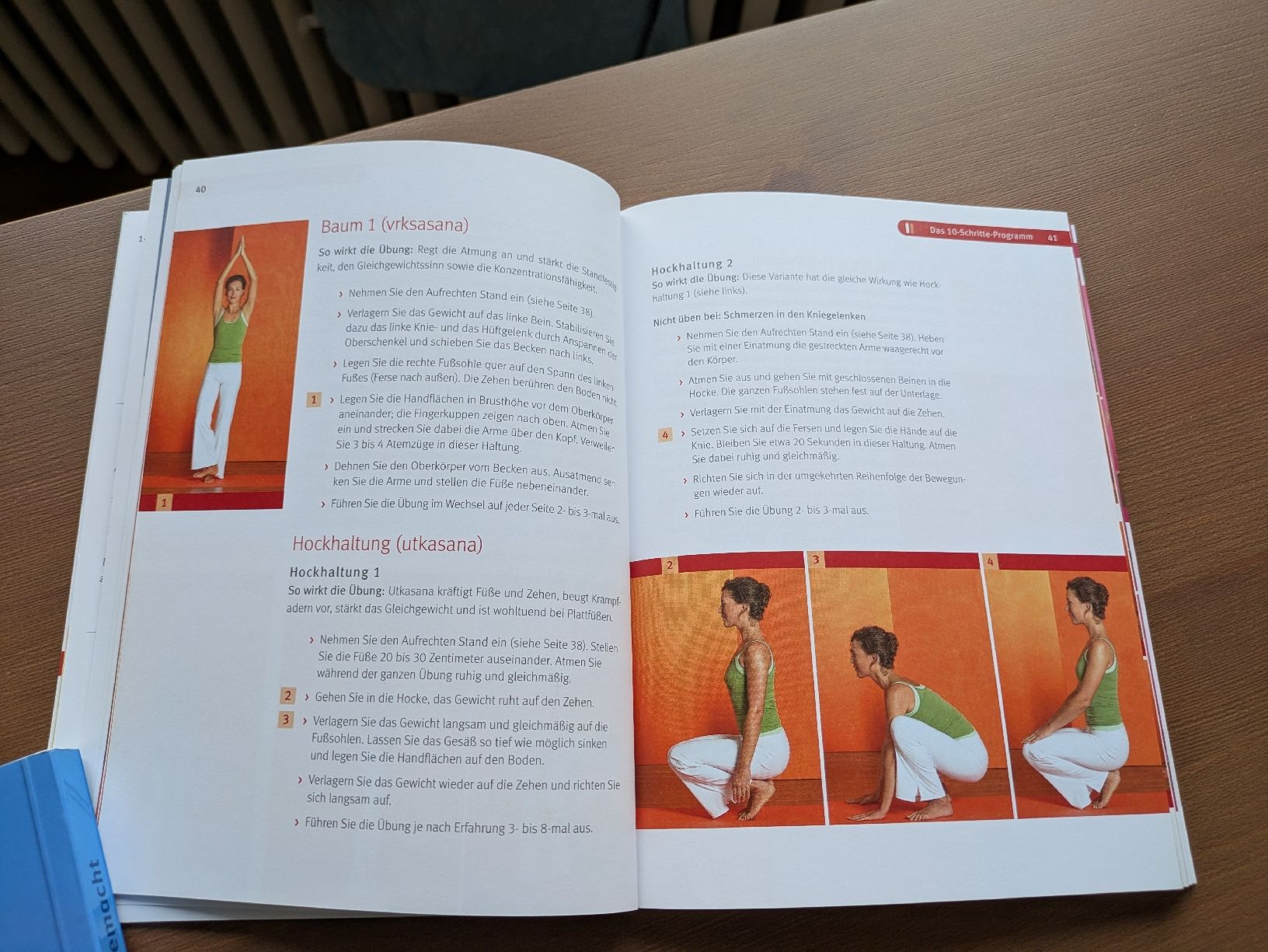 Bücher: 3 Bücher Laufen und Yoga – Gebraucht aus Pfäffikon ZH von sannia 5