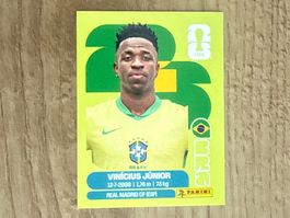Panini FIFA World Cup 2026 Sticker Vinicius Junior BRA 14