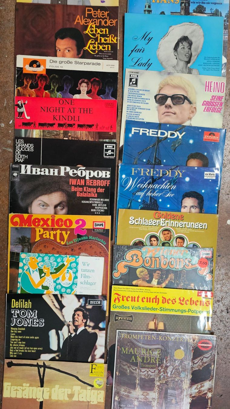 Dischi in vinile: Div LP 21 Stk ab 1.- – Usato da Bettlach venduto da Natan3 2