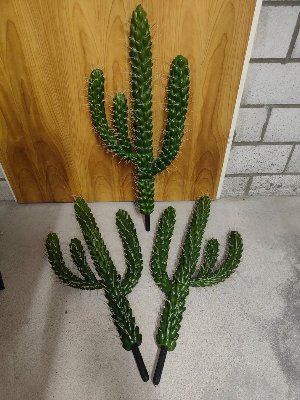 Tutte le decorazioni: Kaktus – Usato da Muri AG venduto da Hupfy