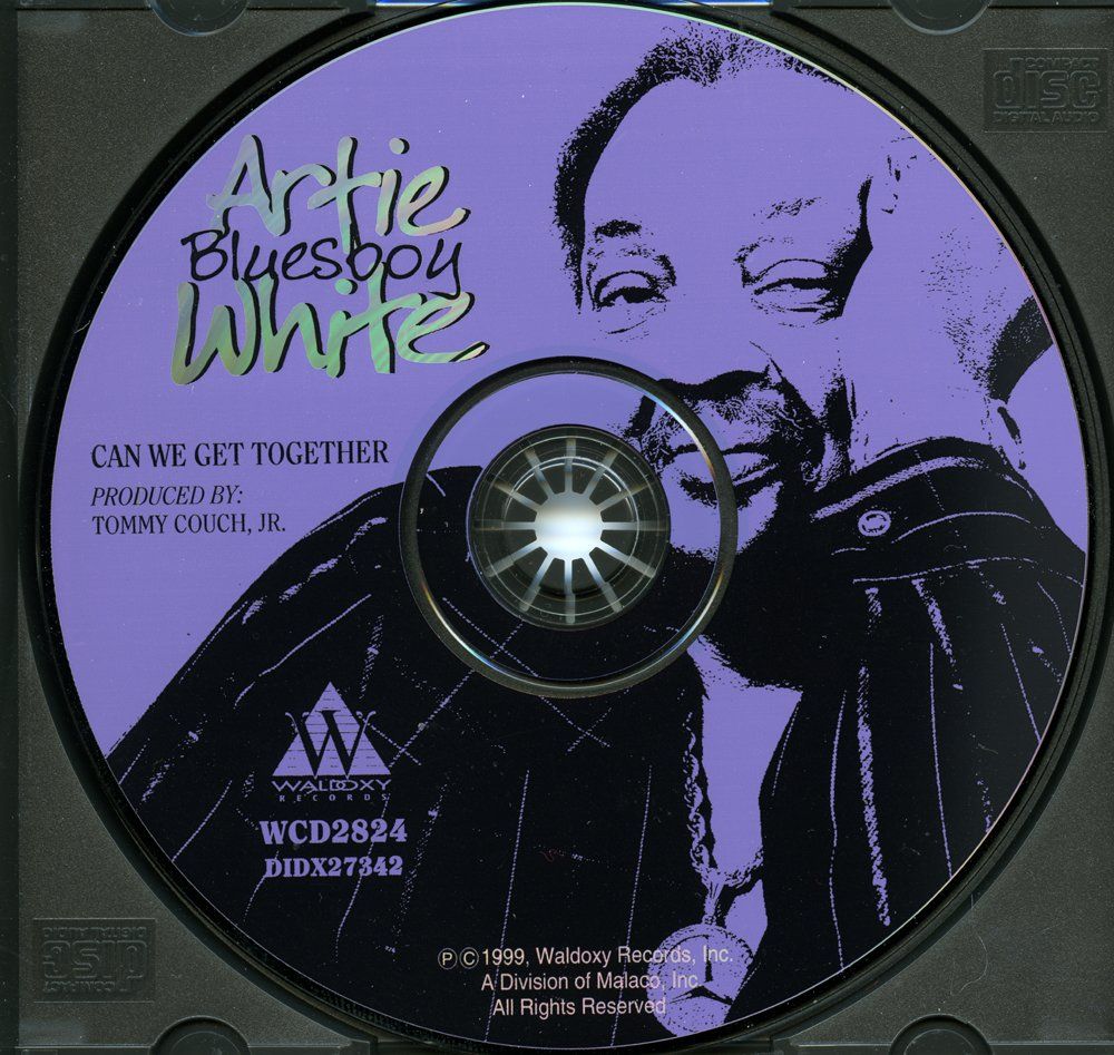 CD: Blues CD: Artie "Bluesboy" White "Can we get together" – Usato da Hochfelden venduto da mue_lhm9 1