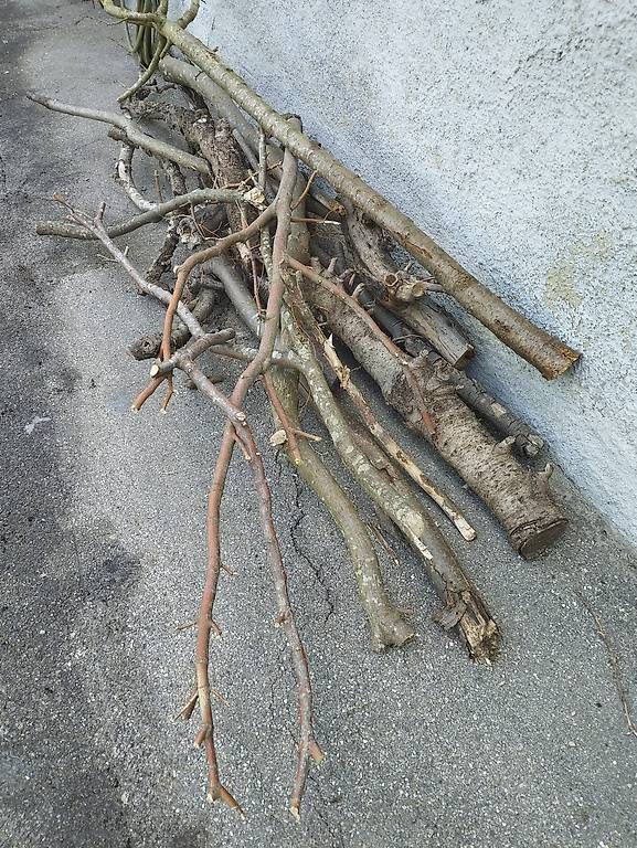 Holzartikel: Brennholz – Gebraucht aus Ostermundigen von Dinge1 2