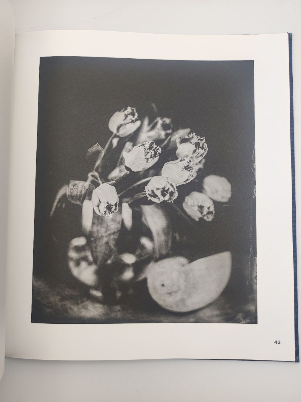 Libri: PHOTOBOOKS - STEFFEN DIEMER – Nuovo (secondo la descrizione) da Goldach venduto da Gaip 5