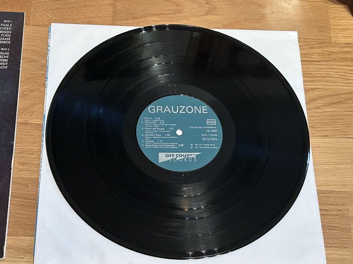 Dischi in vinile: Stephan Eicher. 1981. sehr sehr Rar. Grauzone – Usato da Faulensee venduto da Mizuno06 4
