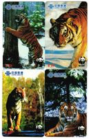 4 Telefonkarten China  Tiger WWF ungebraucht