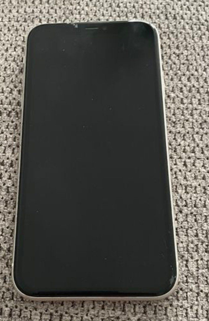Apple Telefoni cellulari / Smartphones: iPhone 11 Weiss – Usato da Zürich venduto da sapta15