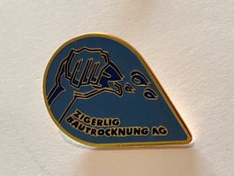 1 Pin Zigerling Bautrocknung AG