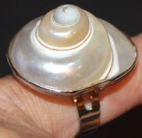 Ring L-8383 – Perlmutter Muschel Grössenverstellbar