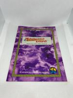 Magician Lord - Neo Geo manual rarität