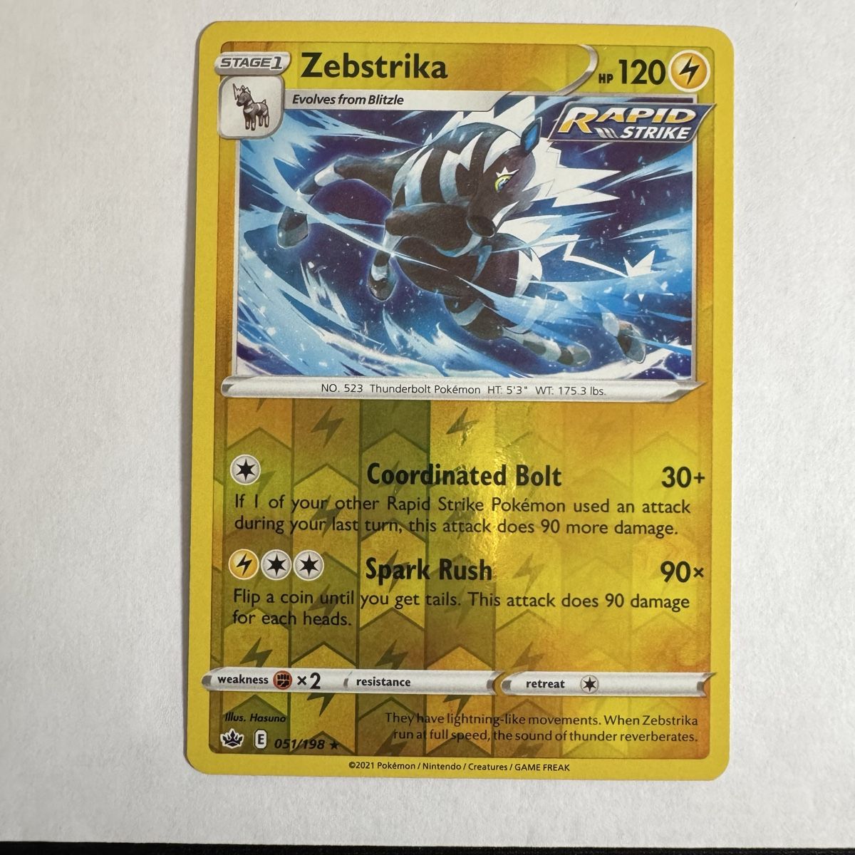 Pokémon Carte collezionabili: Pokémon Zebstrika - 51 / 198 - ENG – Nuovo (secondo la descrizione) da Staad SG venduto da miaCards