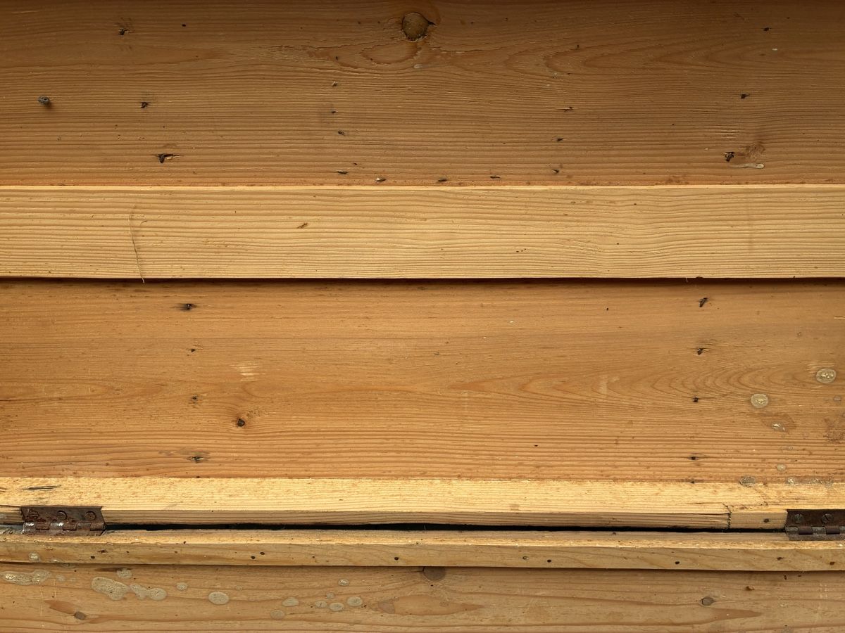 Reisekoffer: Überseekoffer/Schatztruhe gross – Gebraucht aus Mühlau von hofstattuhu 3