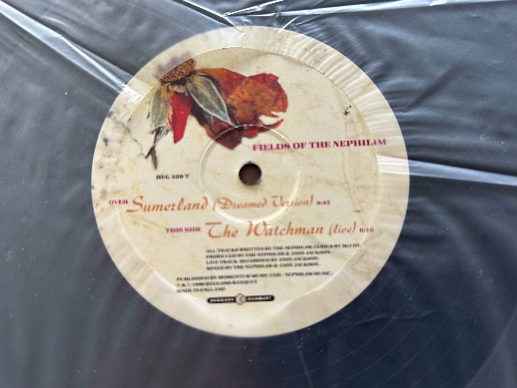 Schallplatten: FIELDS OF THE NEPHILIM 12 SUMERLAND – Gebraucht aus Sion von jaipur1401 4