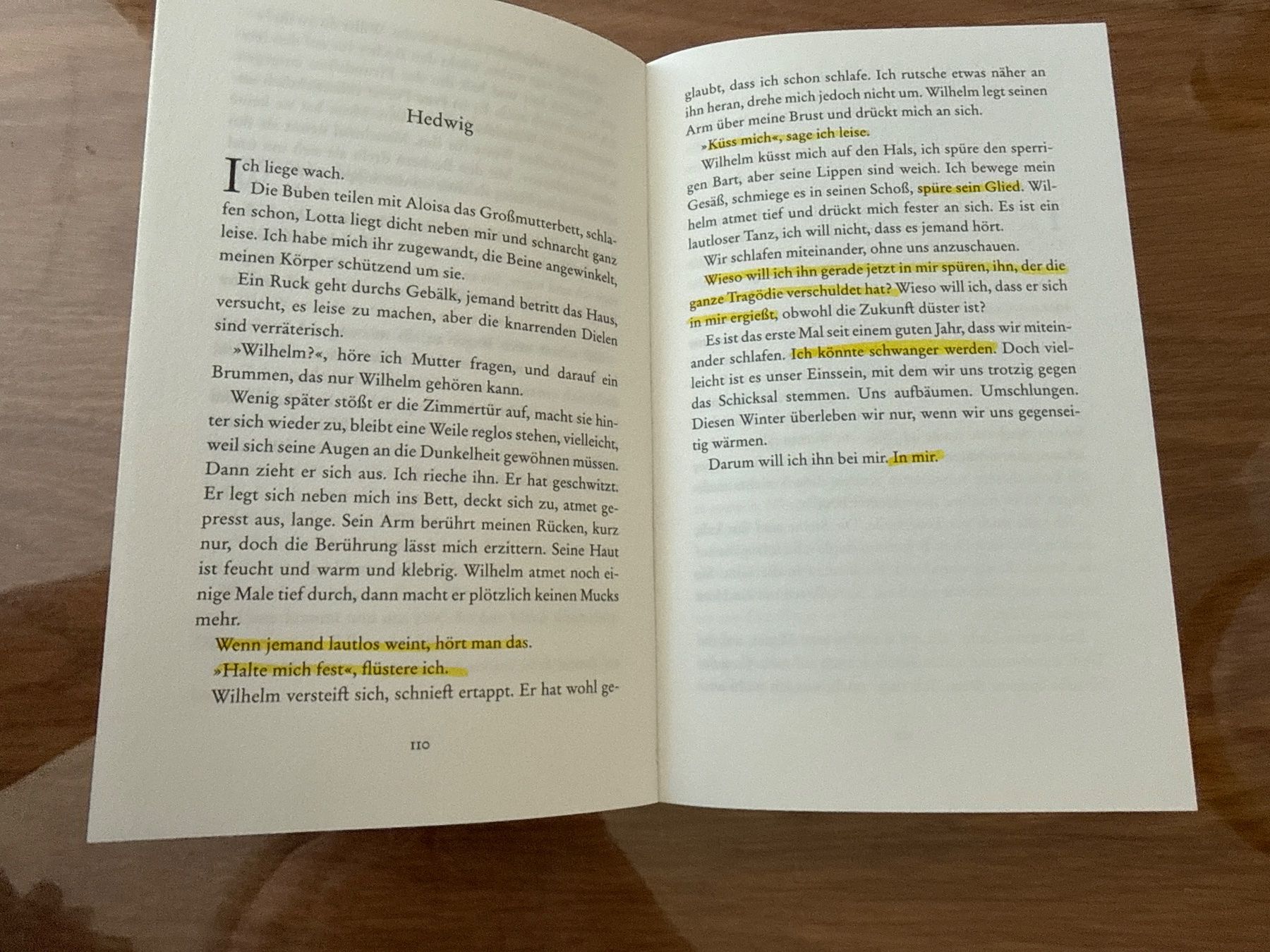 Libri: Joachim B. Schmidt Tell Roman – Usato da Ebikon venduto da Jascha0 2