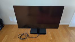 Samsung PM43F 43" Profi-Monitor | HDMI DP RJ45 + Ständer