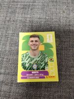 panini BRA 3
