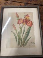 Quadro Iris L.Fivian, 1952, Incorniciato
