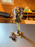Monster High Frankie Stein Basic / Wave 1
